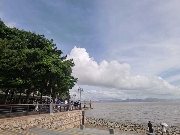 紅樹(shù)林灘涂沿線(xiàn)一角。人民網(wǎng)記者 張素玲攝