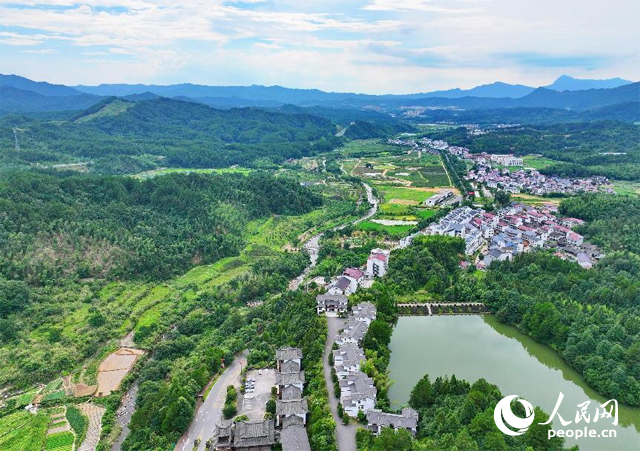 資溪縣森林資源豐富，森林覆蓋率達(dá)87.7%，有林地資源168萬畝。人民網(wǎng) 朱海鵬攝