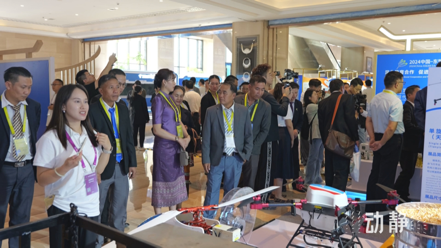 展示成果分享經(jīng)驗，中國—東盟教育交流周深化合作共創(chuàng)未來！