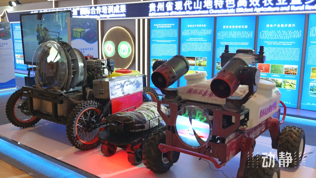 展示成果分享經(jīng)驗，中國—東盟教育交流周深化合作共創(chuàng)未來！