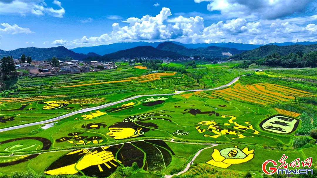 云南清水：延伸公共法律服務(wù)觸角，讓普法與民族團(tuán)結(jié)進(jìn)步互促共融