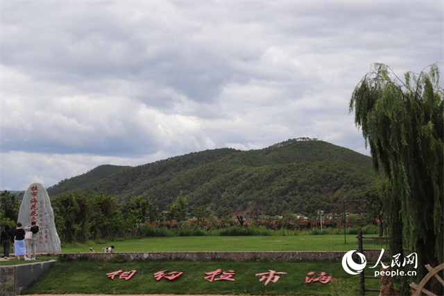 麗江市拉市海景區(qū)。 人民網(wǎng)記者 程浩攝