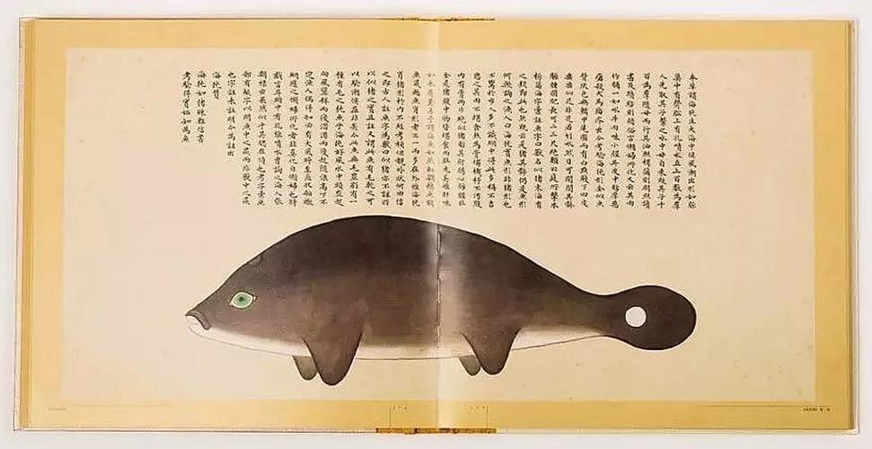 文化中國(guó)行 長(zhǎng)江之歌丨微笑的江豚，從四千年前“游”來(lái)