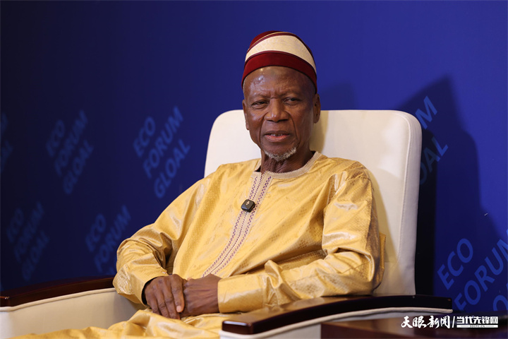 幾內亞全國過渡委員會第二副主席 塞尼·法西內·西拉.jpg