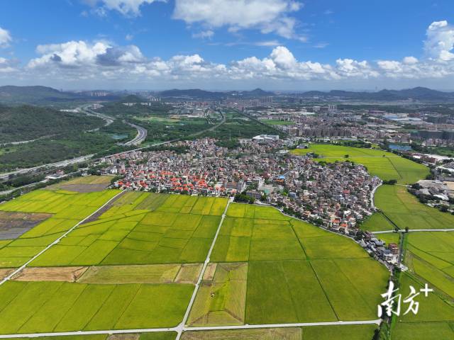 崖口村。