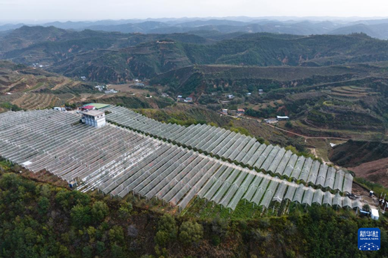 【高質(zhì)量發(fā)展看陜西】“上天”的延安蘋果，蘊藏哪些新質(zhì)生產(chǎn)力