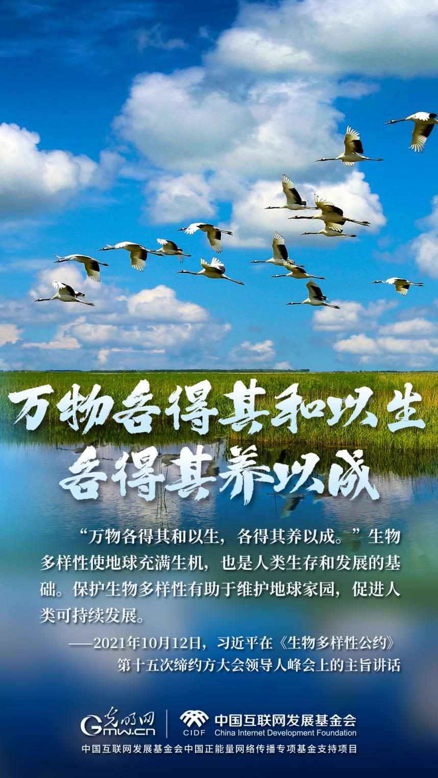 “兩山”理念與美麗中國丨濕地與候鳥，一場歲歲年年的相守