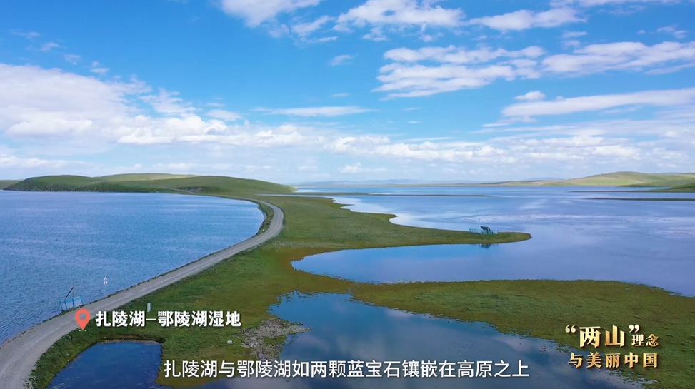 “兩山”理念與美麗中國丨濕地與候鳥，一場歲歲年年的相守