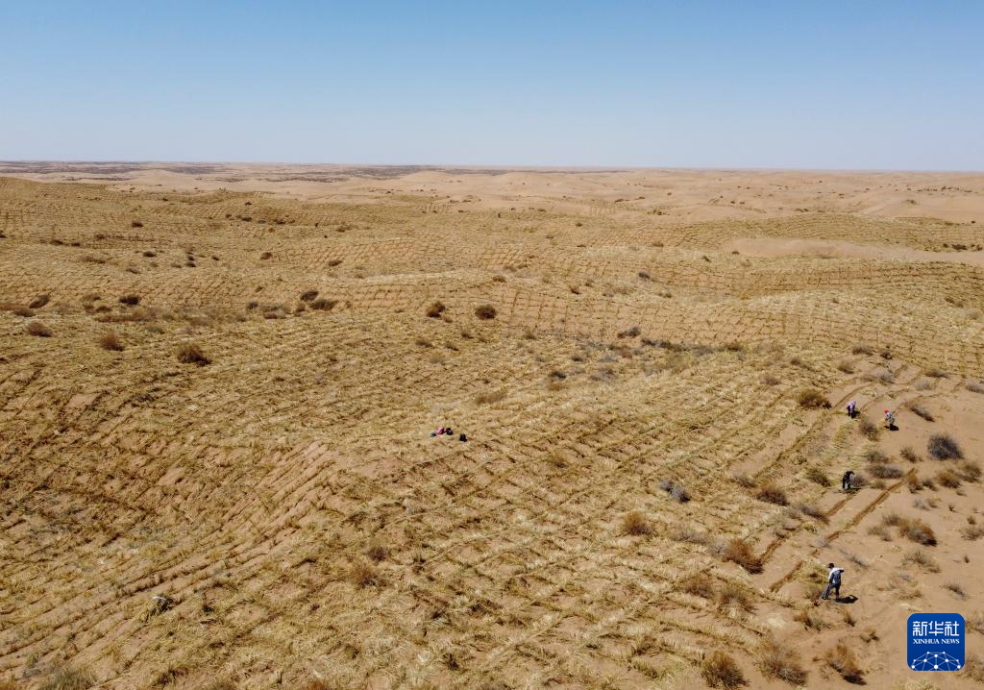 2024年4月10日，群眾在古浪縣八步沙林場麻黃塘沙區(qū)用草方格壓沙。新華社發(fā)（無人機(jī)照片）