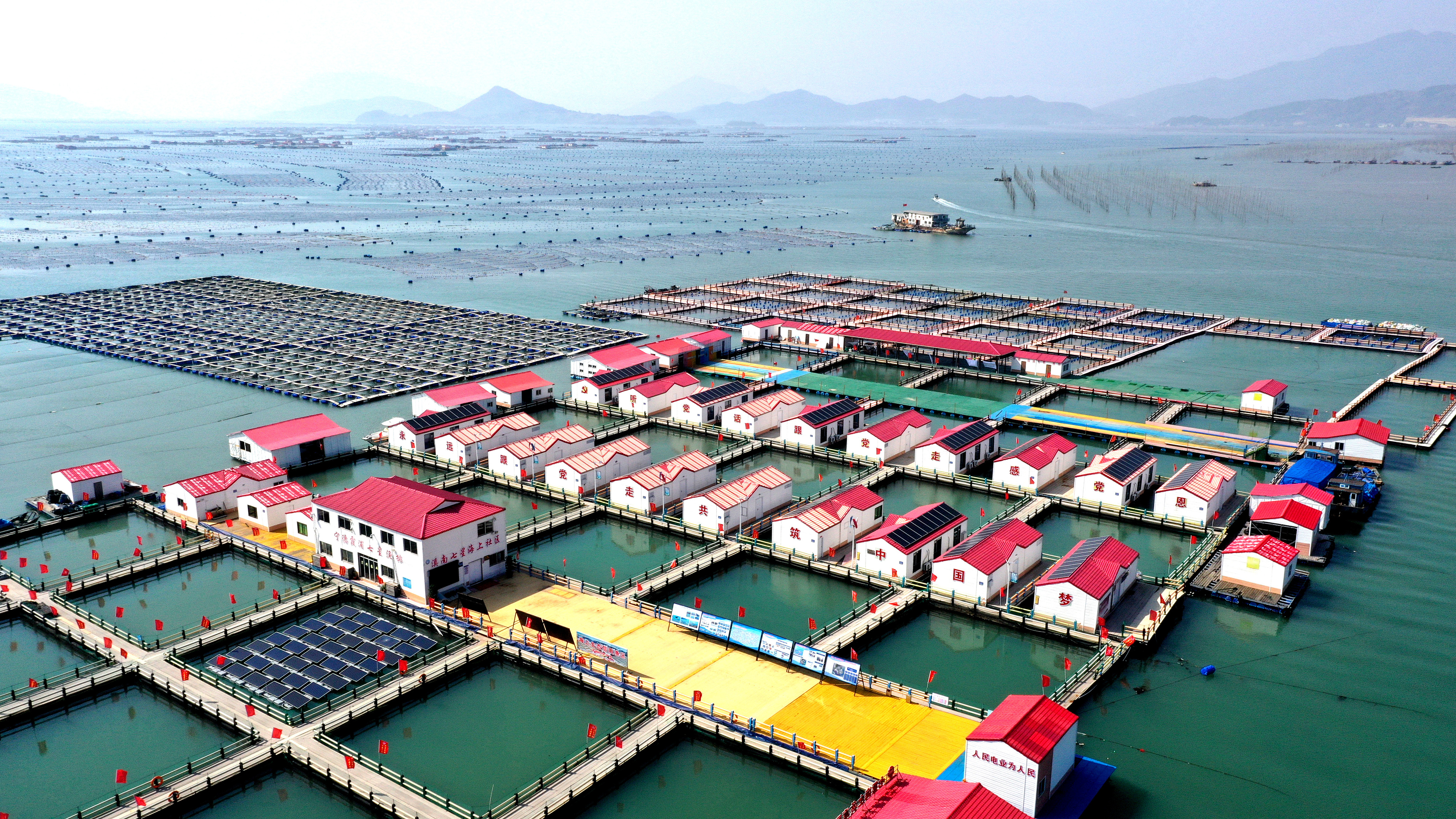 2024年3月20日，福建省寧德市，霞浦縣溪南鎮(zhèn)七星村漁排養(yǎng)殖示范區(qū)，漁民駕駛養(yǎng)殖船進行海參養(yǎng)殖作業(yè)。