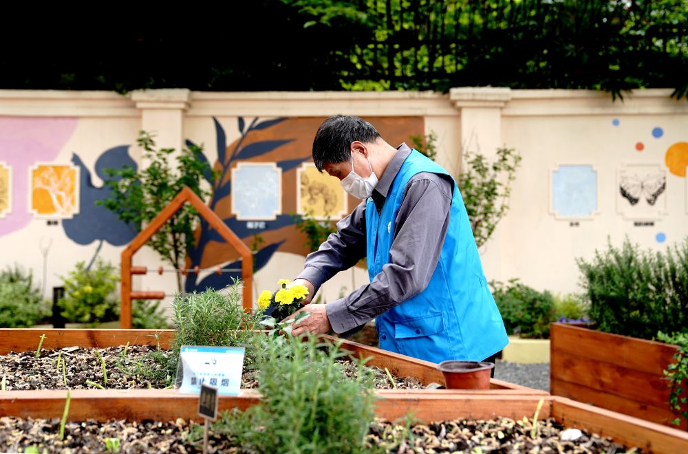 上海市長(zhǎng)寧區(qū)虹旭小區(qū)居民在整理改造社區(qū)花園。居民們把堆肥箱里發(fā)酵出來(lái)的“綠色材料”和土壤拌在一起鋪在種植箱中（2020年4月22日攝）。新華社記者 張建松 攝