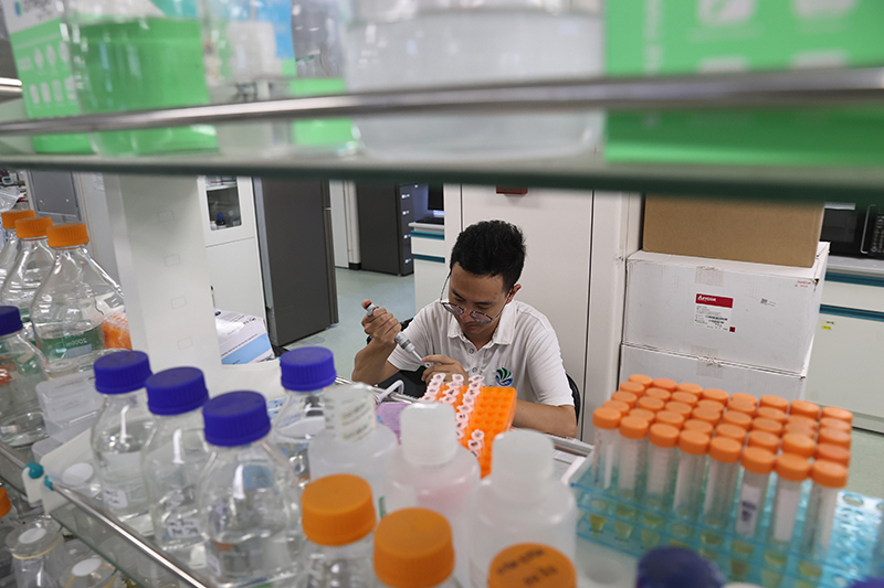 在三亞崖州灣科技城，一名青年科技工作者正在進行科研工作。