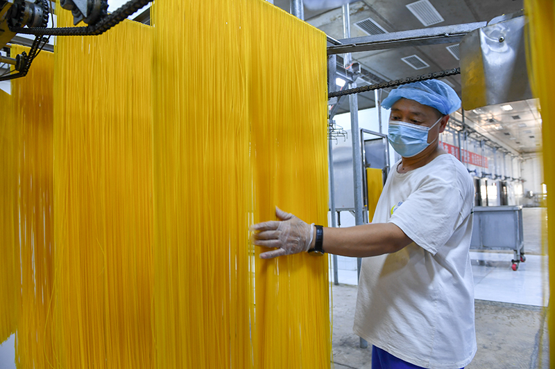 2024年1月25日，在吉林省公主嶺市的一家公司車間，工人查看玉米面條生產(chǎn)情況。