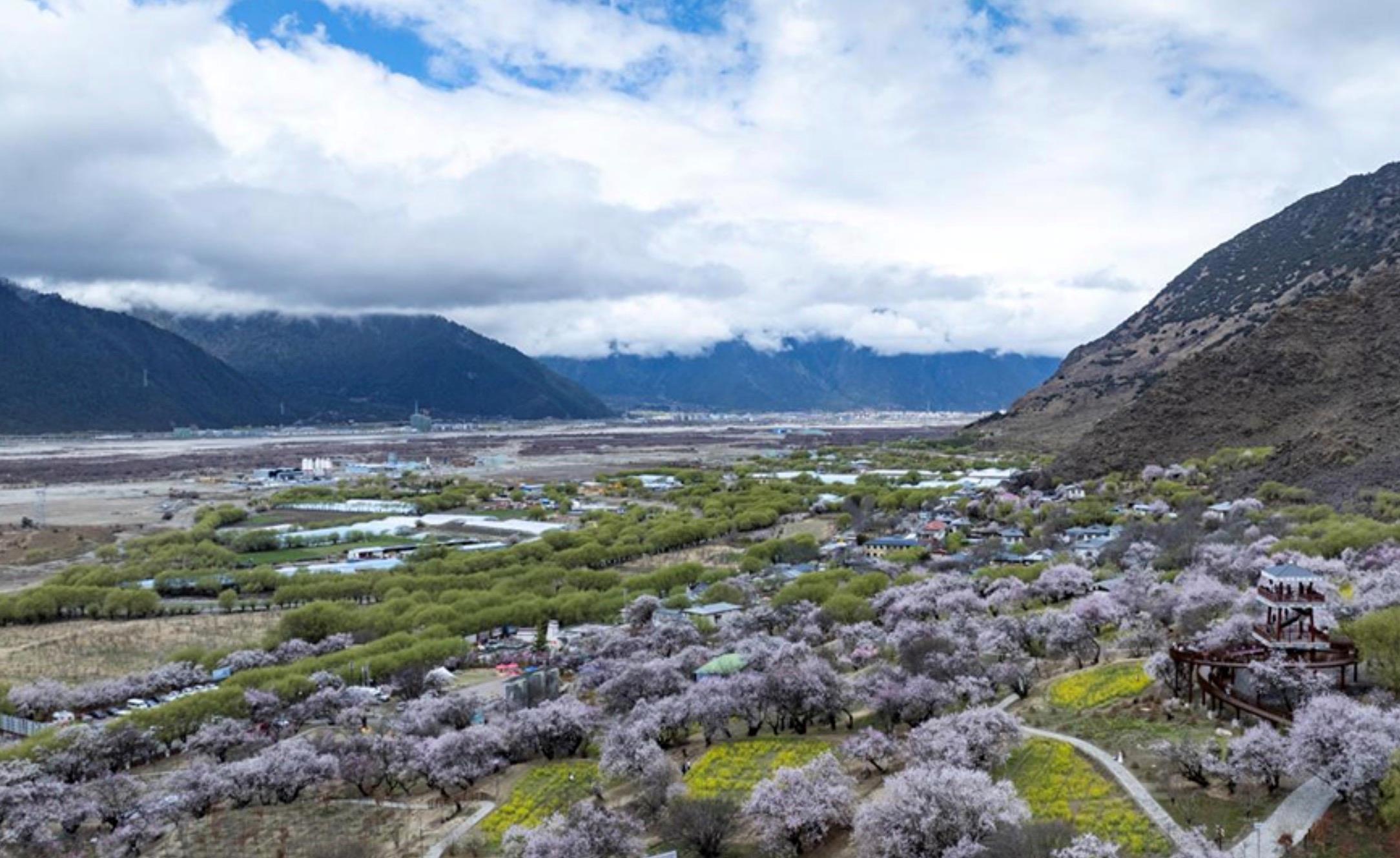 時(shí)政微觀察丨砥柱中流 風(fēng)華正茂