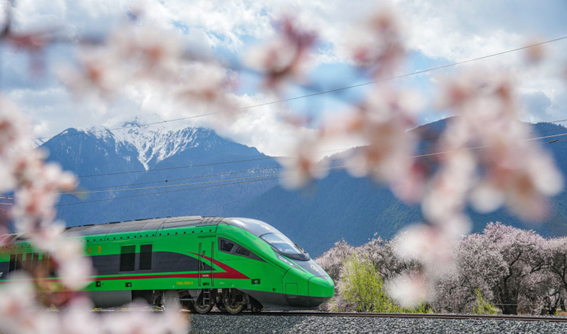 2025年4月2日，復(fù)興號(hào)列車穿行在拉林鐵路林芝段。