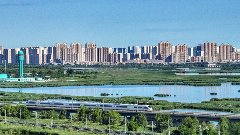 2025年8月17日，一列動(dòng)車組列車駛過大慶東站。