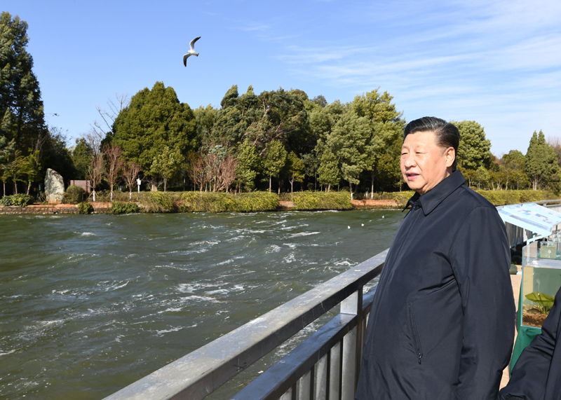 2020年1月20日下午，習(xí)近平總書記在云南昆明滇池星海半島生態(tài)濕地考察調(diào)研。