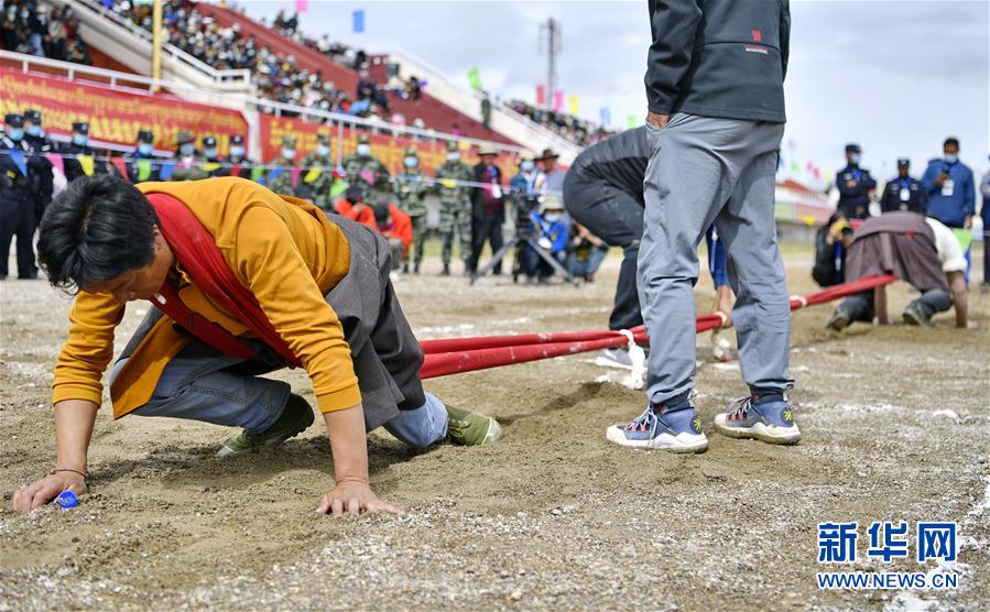 （體育）（4）西藏那曲：賽馬藝術節(jié)上的比拼