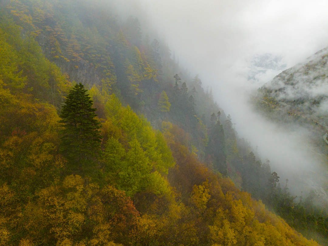云纏霧繞，層林盡染。