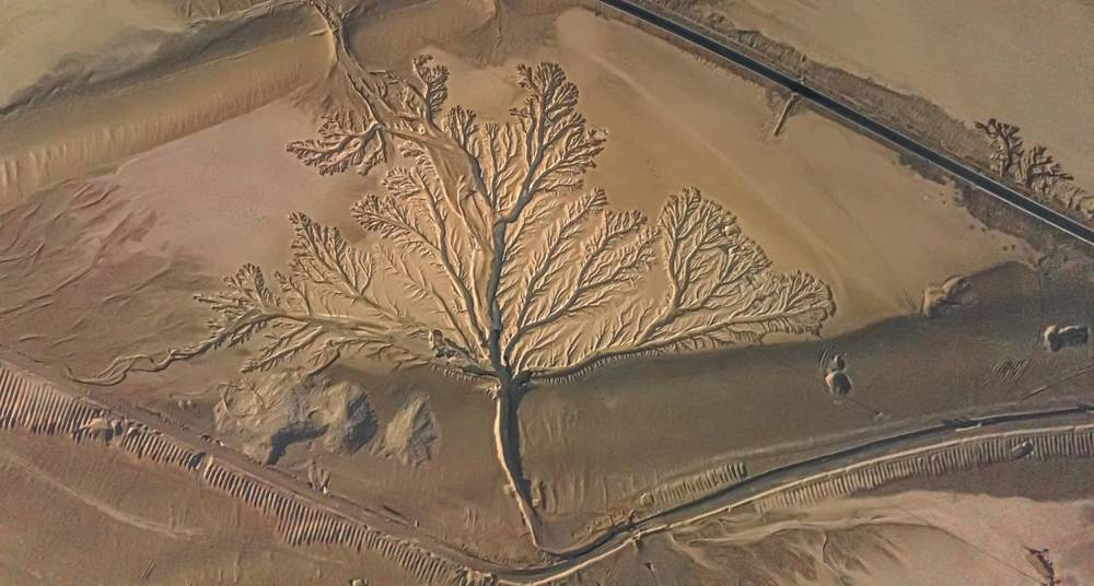 壯觀的“大地之樹”。邊巴多吉攝