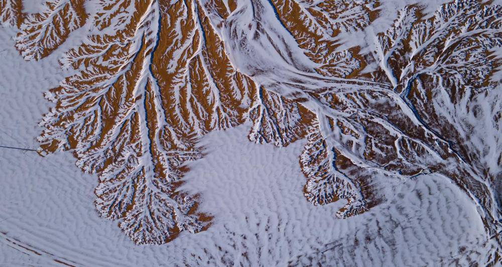 栩栩如生的枝干。邊巴多吉攝