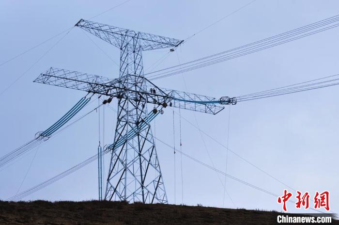 高原藏區(qū)電力線路建設(shè)者：高寒缺氧、扎刺掛彩是常事