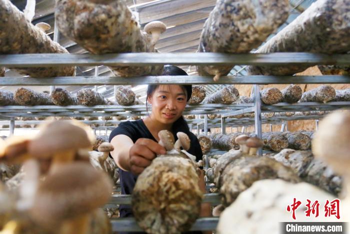 甘肅天?！跋愎椒蚱蕖毕律饺氪ǎ捍笈锢镉板X景”