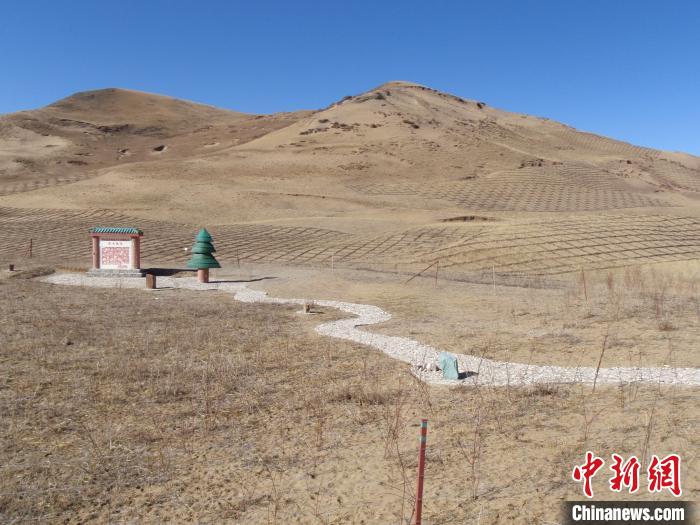 四川省阿壩州若爾蓋縣草原沙化治理前。若爾蓋縣林業(yè)和草原局供圖