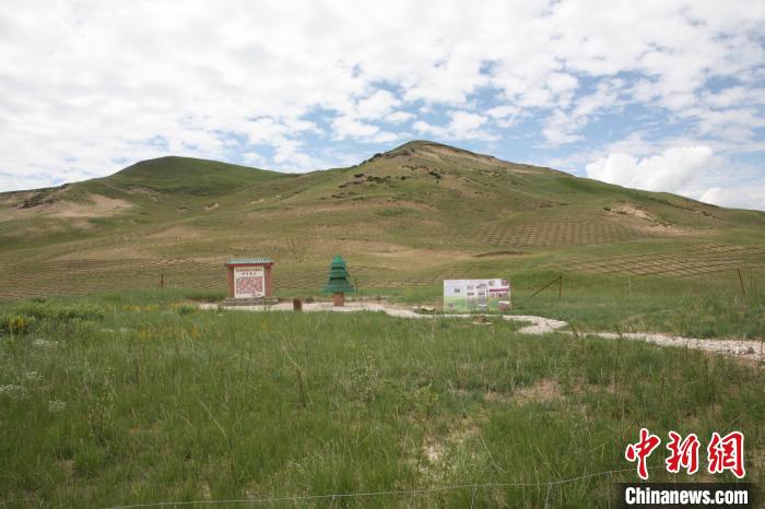 四川省阿壩州若爾蓋縣草原沙化治理后。若爾蓋縣林業(yè)和草原局供圖