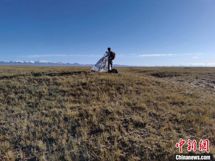 圖為索南達(dá)杰保護(hù)站保護(hù)隊員在可可西里找到露營的葉某?！∴嚭Ｆ?攝