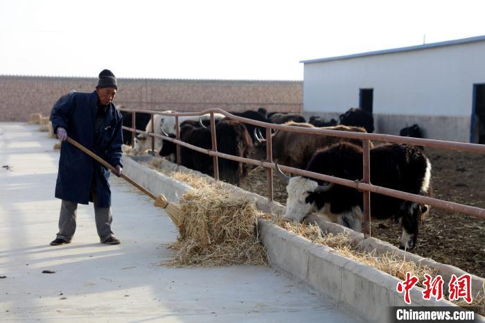 柴達木盆地蓮湖村：讓致富村民生活“?！逼饋?/></a></div>
                        <div   id=