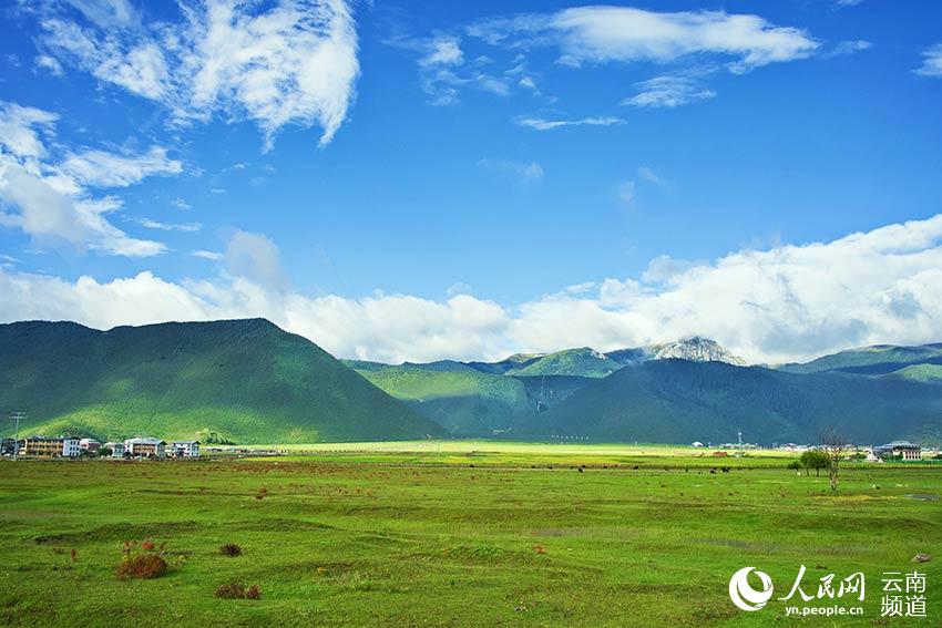 納帕海濕地風景。呂昊辰攝