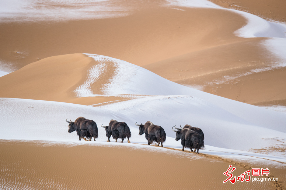 三江源國家公園正式設立，這是青海生態(tài)文明建設的新答卷