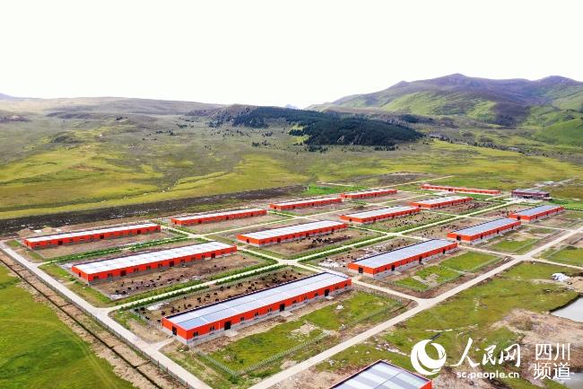 建設(shè)中的理塘縣牦牛產(chǎn)業(yè)園。葉強(qiáng)平攝