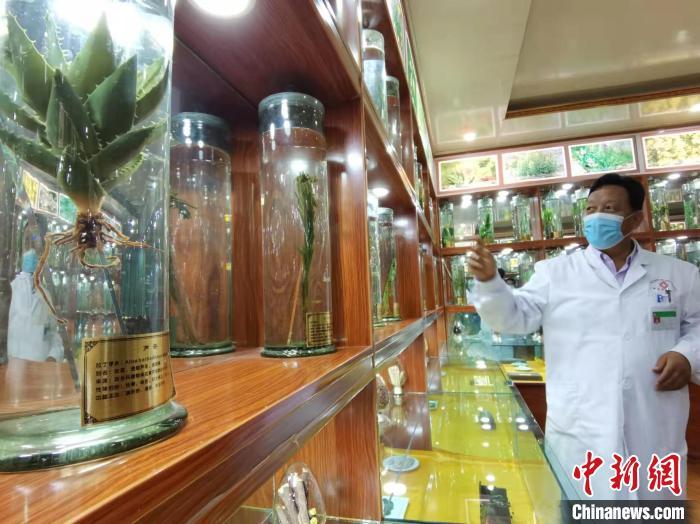 甘肅省甘南藏族自治州碌曲縣藏醫(yī)院副院長看照加近30年的從醫(yī)工作，堅持中藏醫(yī)特色優(yōu)勢相結(jié)合診療方法?！堟?攝