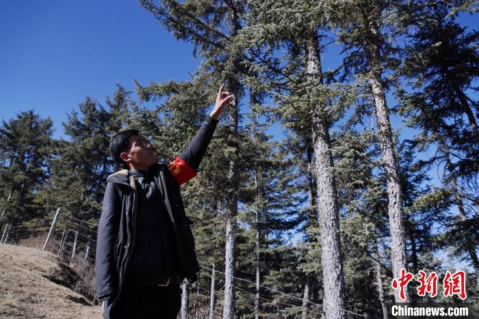 圖為桑杰加介紹林場樹木。　馬銘言 攝