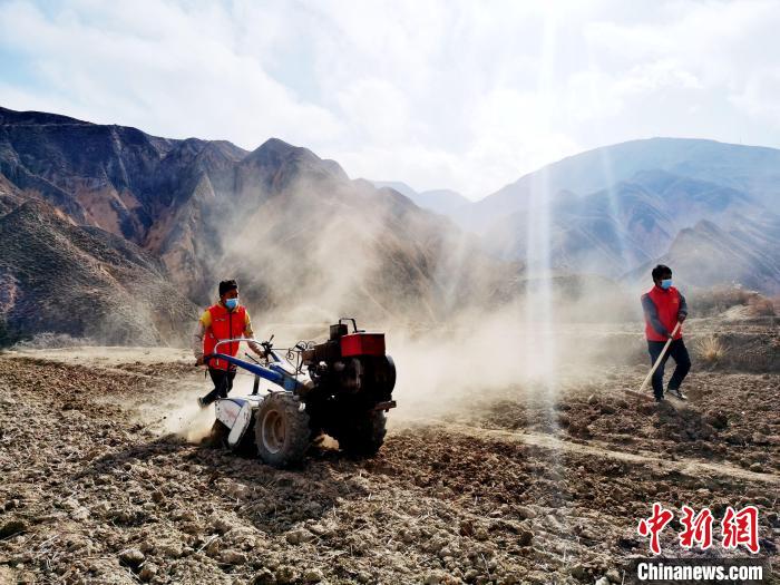 圖為拖拉機(jī)在山地犁地?！?zhí)砀?攝