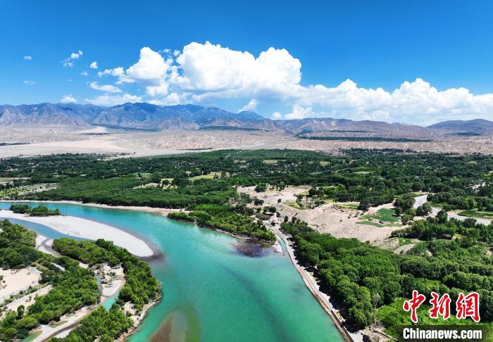 航拍貴德縣黃河岸畔綠意盎然?！●R銘言 攝