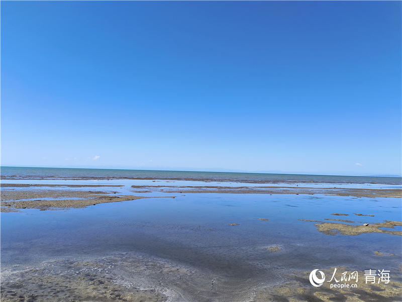   青海湖仙女灣。人民網(wǎng) 張莉萍攝