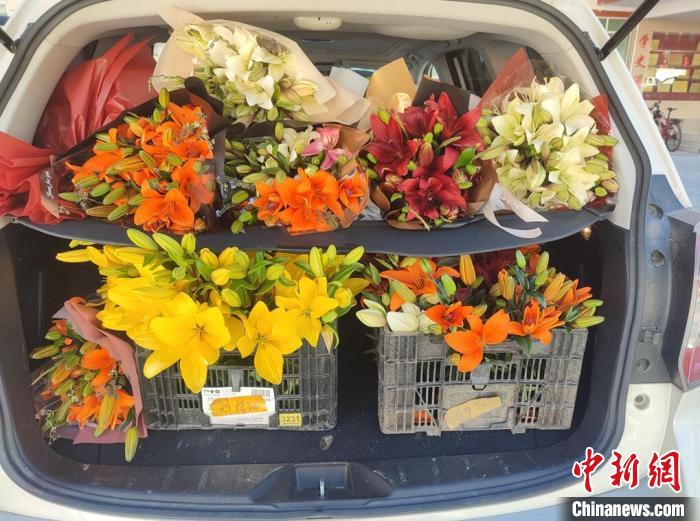 剛剛采摘下來的百合花?！∪捞量h委宣傳部供圖