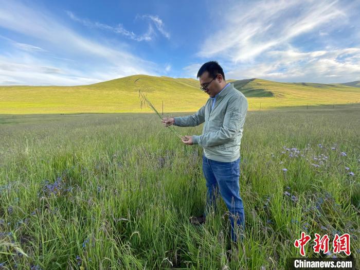 青海達(dá)日“援青縣長(zhǎng)”：雪域高原生態(tài)、民生“并蒂花開(kāi)”