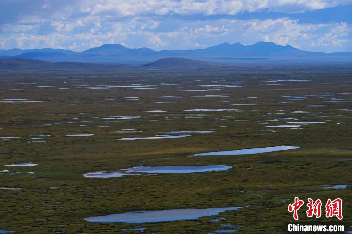 圖為查旦濕地?！●R銘言 攝