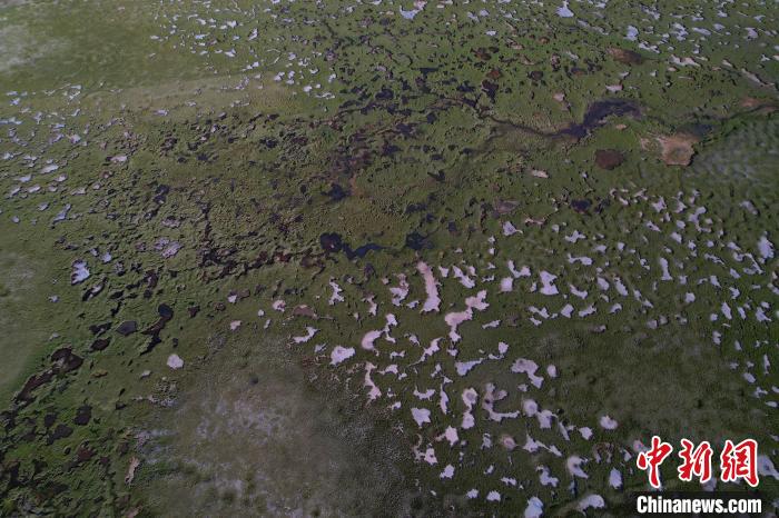 航拍查旦濕地?！●R銘言 攝