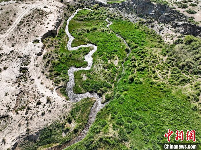 圖為航拍都蘭湖國家濕地公園綠意盎然?！∑钤鲚?攝