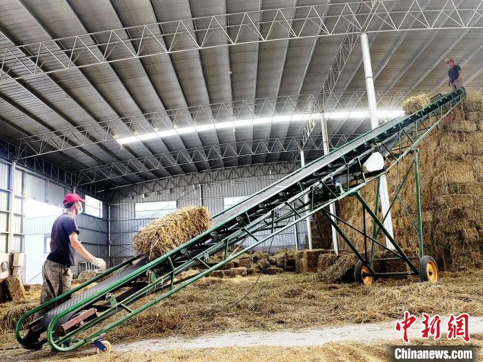 圖為飼草打捆、儲(chǔ)存?！●R芝芬 攝