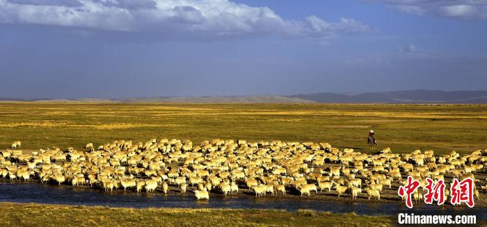 青?，敹唷鞍渍渲椤弊尠傩斟X袋鼓起來