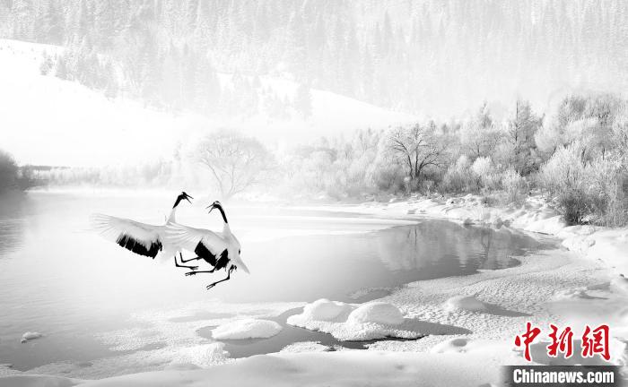 圖為焦生福的作品《鶴嬉雪林》。　青海省祁連山自然保護(hù)協(xié)會(huì)供圖