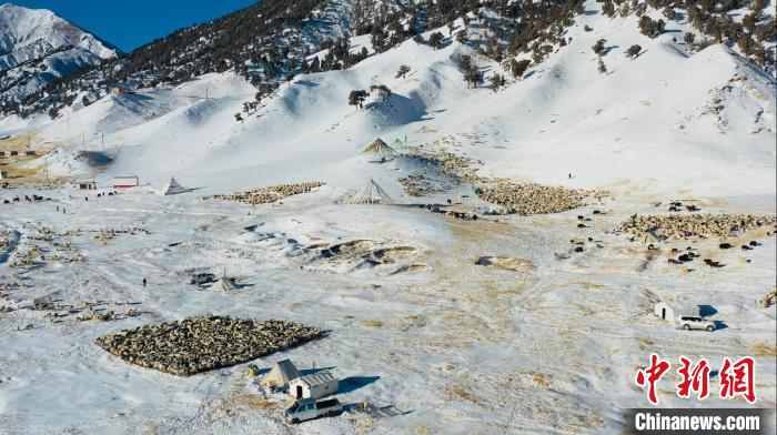 圖為無人機航拍牧場?！《继m縣融媒體中心供圖