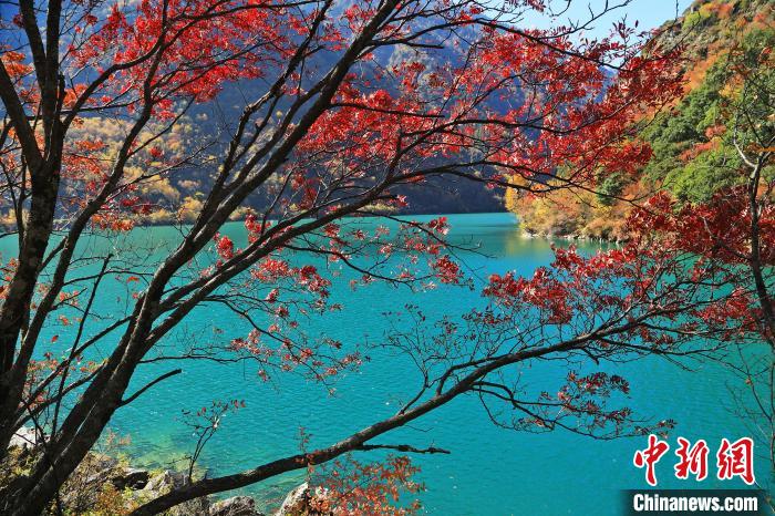 松坪溝風(fēng)光?！『吻搴?攝