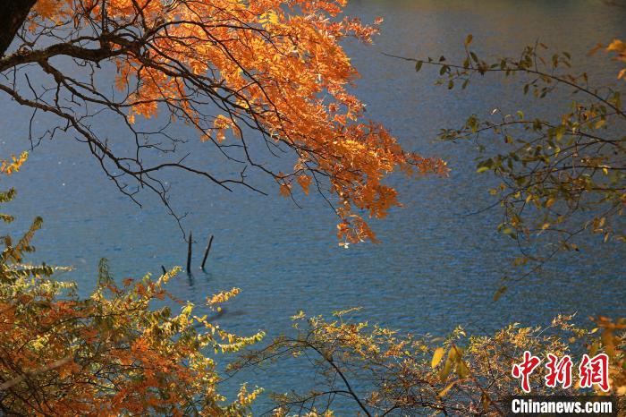 松坪溝風(fēng)光?！⑼?攝